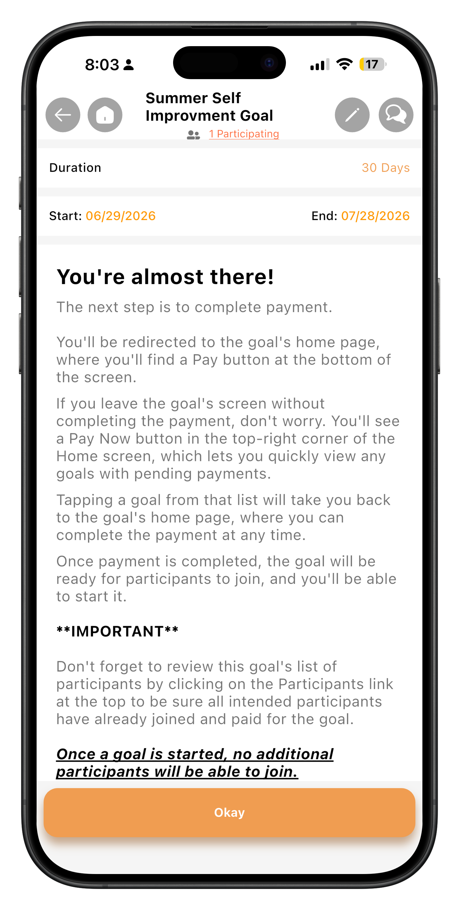Create goal step 17